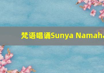 梵语唱诵Sunya Namaha